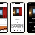 Cantilever, Lissen and Other Niche Services: Streaming Without Algorithms